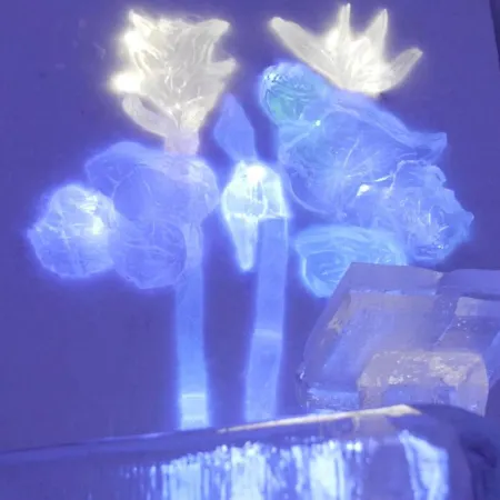 Hunderfossen Snow Hotel Hafjell